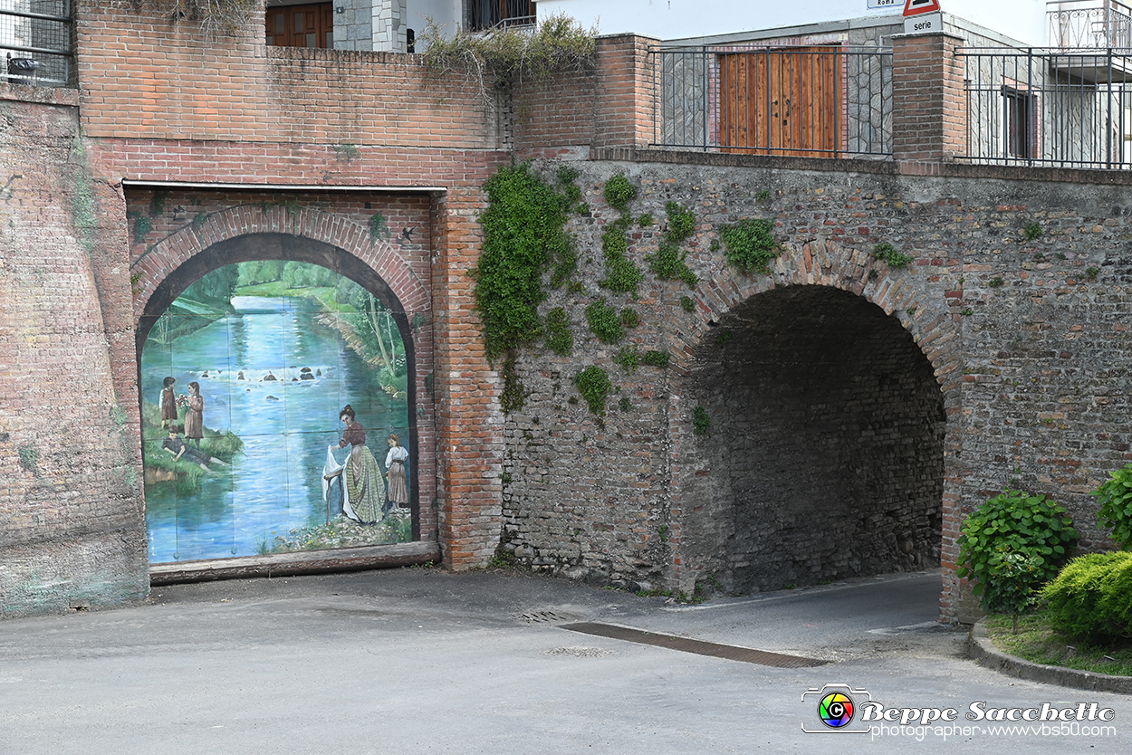 VBS_3770 - Fontanile (Asti) - Murales di Luigi Amerio.jpg